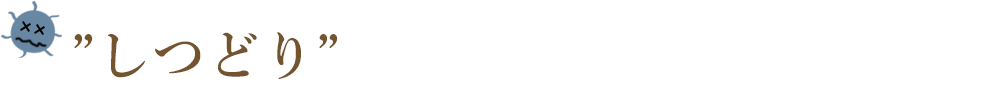 “しつどり”の嘘みたいなホントのすごい効果！